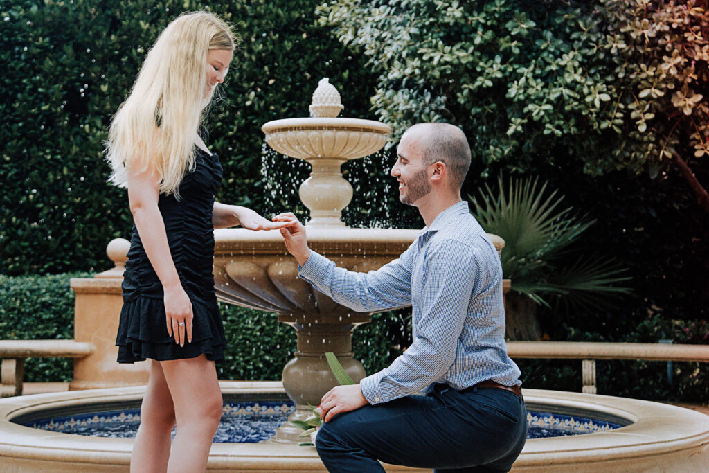 proposal-photoshoot-palm-beach