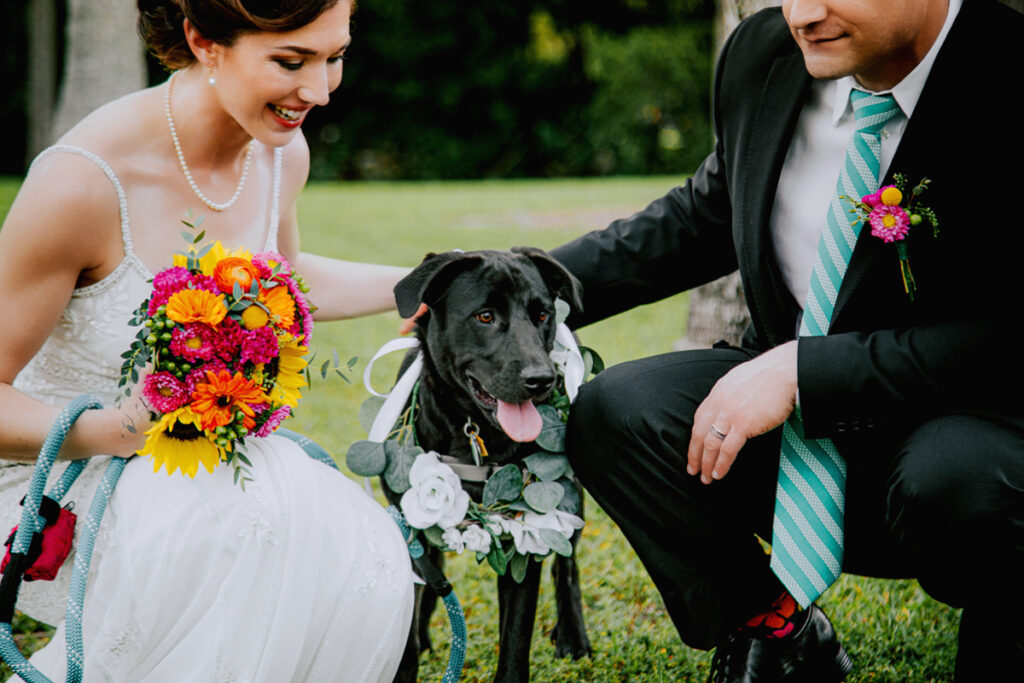 Pet Friendly Wedding Miami